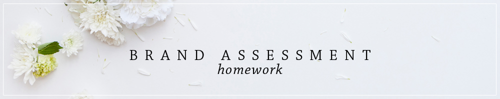 Brand Assessment Homework